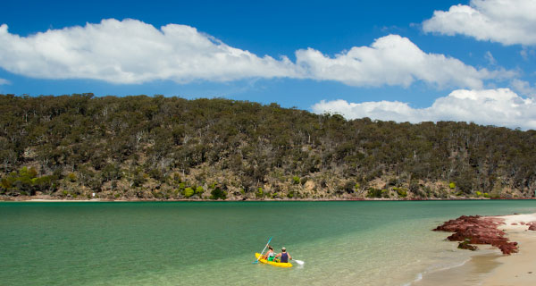 Ocean Reach is a paddling paradise